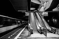 Bahnhof Rotterdam Blaak von Sander van Kal Miniaturansicht