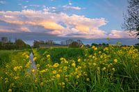 Evening views of the Dutch Landscape in Spring