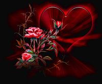 The mysterious rose  