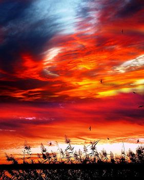 Sonnenuntergang am Langener Waldsee