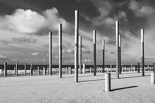 LOST IN HOLLAND 2019-214zw