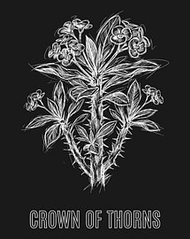 Minimalistisches Poster mit Sträußchenblume als Strichzeichnung – Black Edition von moveit store
