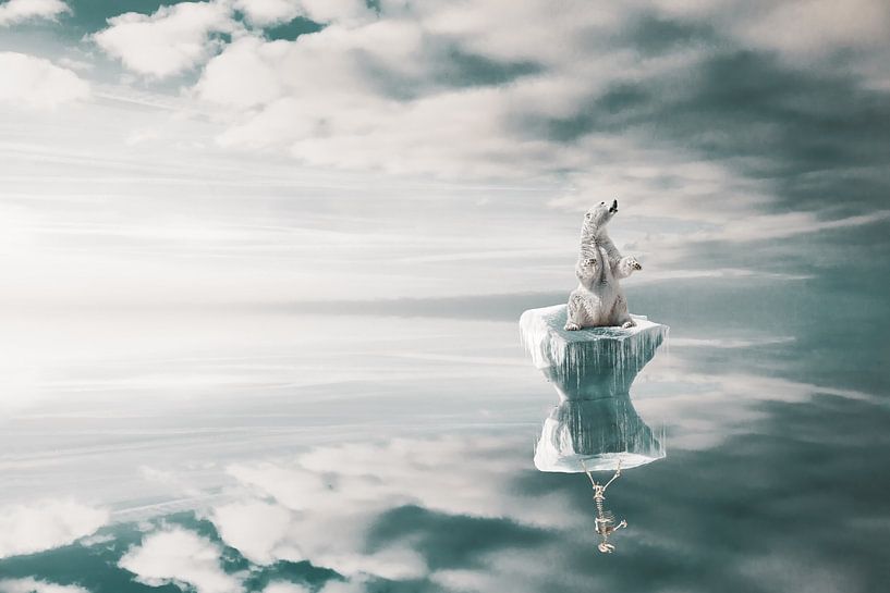 Image manipulation of Polar Bear on Ice Floe with Reflection - Climate Art for Conscious Interiors by Elianne van Turennout