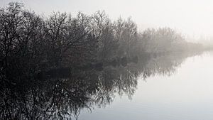Ven in Groote Peel National Park
