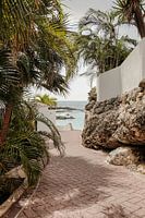 Chemin vers la plage | Mambo Beach Curaçao