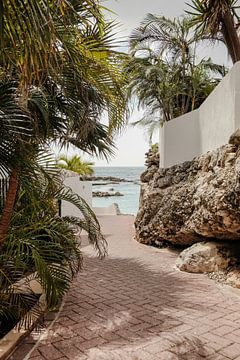 Pad naar het strand | Mambo Beach Curaçao van Amersfoort Fotoprint