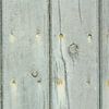 Old planks with rusty nails by Shot it fotografie