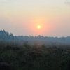 Zonsopkomst op de Asselse Heide van Wiljo van Essen