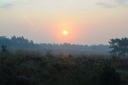 Zonsopkomst op de Asselse Heide van Wiljo van Essen