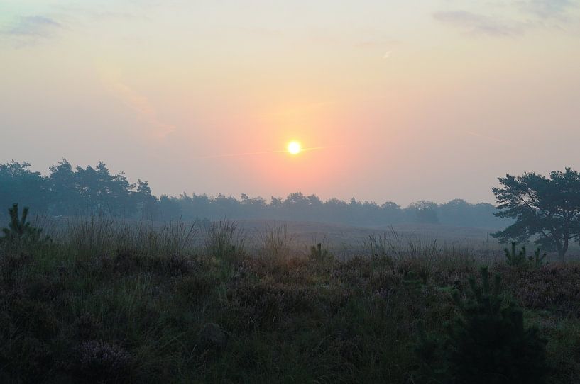 Lever de soleil sur la Heide des Asselse par Wiljo van Essen