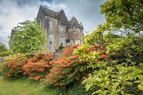 Rododendrons in het park van Ardkinglas Woodland House, Cairndow