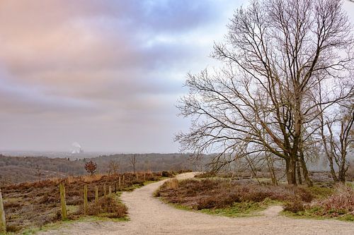 Posbank op een bewolkte ochtend