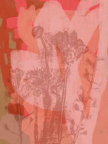 Kleurrijke botanische kunst in terra, roze, koraal en beige. Monotypes weidebloemen.