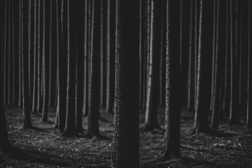 in focus by Matthias Ettinger