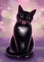 Black Cat