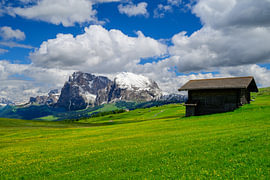 Seiser Alm or Alpe di Siusi panorama in the Dolomites by Sjoerd van der Wal Photography