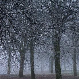 Mistige ochtend in het park met rijp by Anneriek de Jong