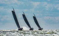 Skûtsjes auf dem IJsselmeer_01 von Harry Eggens Miniaturansicht