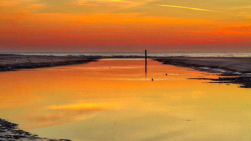 Oranje by Pieter Heres