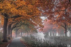 Apeldoorn Canal by Niels Barto