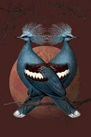 Birds of a Feather