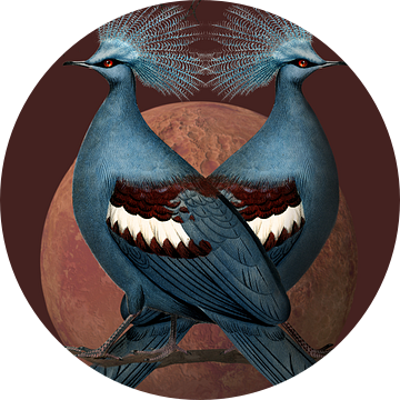 Birds of a Feather van Renske Schut