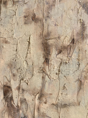 Earthy Textured Abstract
