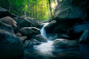 Mystischer Waldbach in den toskanischen Apenninen