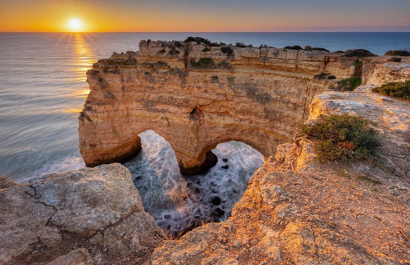 Hart van Algarve van Adelheid Smitt