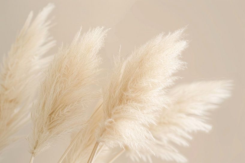 herbe de la pampa, tons beiges, art, salon, nature, élégance sobre, détails, apaisant, harmonieux, paisible, décoration, intemporel par Poster Art Shop