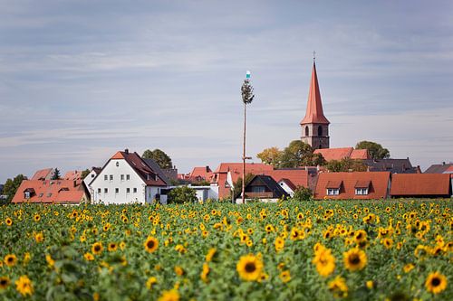 Golden September