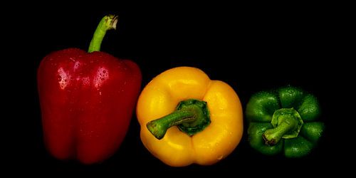 Macro verse paprika's met waterdruppels in kleuren rood geel groen tegen zwarte achtergrond