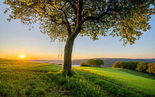 Rursee, Nationaal Park Eifel, Noordrijn-Westfalen, Duitsland