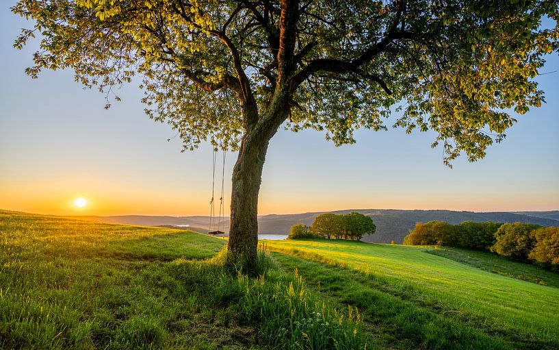 Rursee, Nationalpark Eifel, Nordrhein-Westfalen, Deutschland von Alexander Ludwig