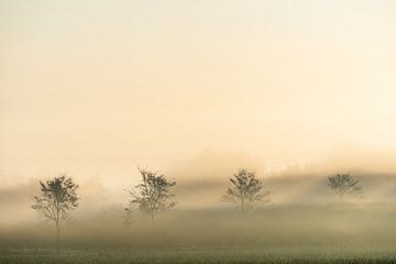 A foggy sunrise on Walcheren by zeilstrafotografie.nl