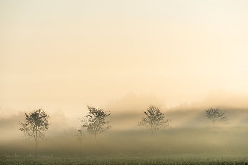 Un lever de soleil brumeux sur Walcheren par zeilstrafotografie.nl