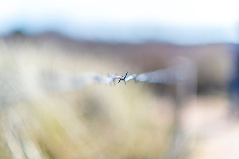 Barbwire Barbed Wire by Maurice B Kloots      www.Fototrends.nl