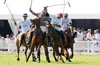 Polo wedstrijd