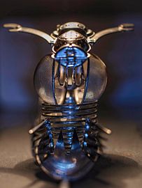 Alien Insect van Rob Boon