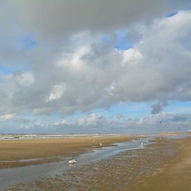 Strand met Hollandse wolken, kiters en zee meeuwen. van Sigune italiaanser