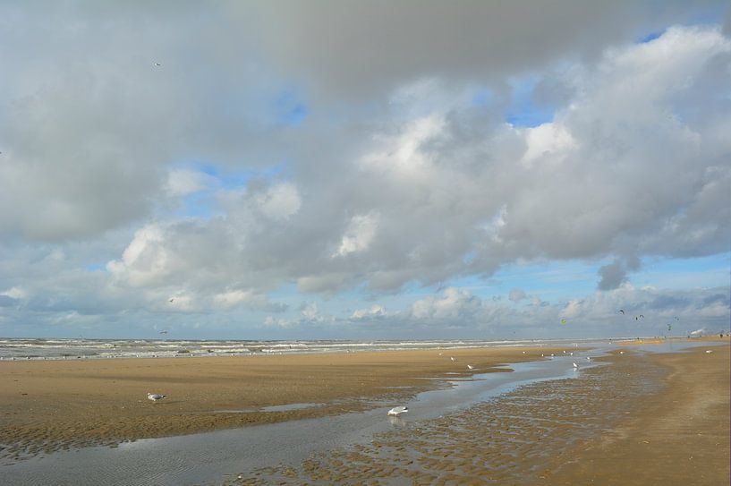 Strand met Hollandse wolken, kiters en zee meeuwen. by Sigune italiaanser
