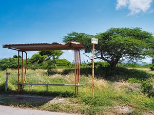 Ruinen einer Bushaltestelle auf Curacao von Atelier Liesjes