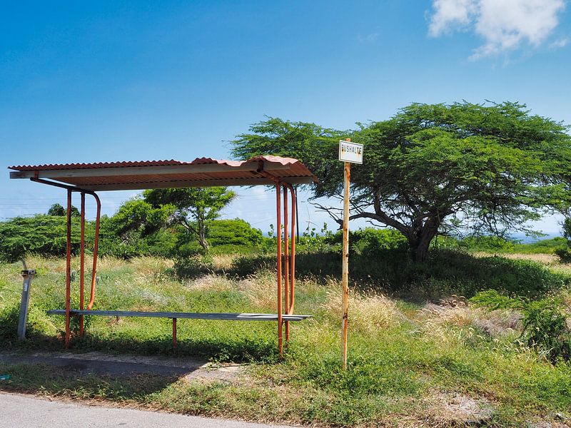 Ruïne van een bushalte op Curacao van Atelier Liesjes