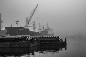Frachtschiffe im Nebel im Hafen von Amsterdam.