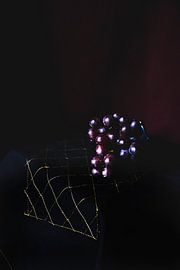 Trauben von Marie Ndiaye