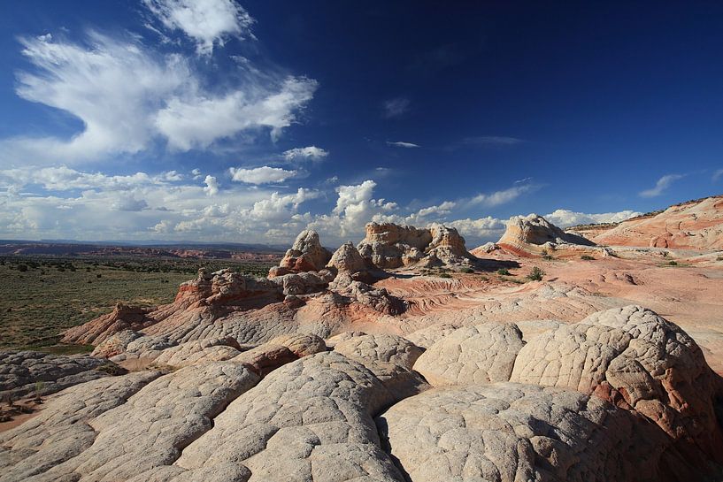 White Pocket, Vermilion Cliffs National Monument, Arizona van Frank Fichtmüller