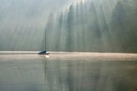 Bootje op de Titisee by peter reinders thumbnail