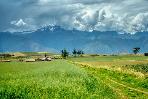 Het pad van Aart Prikker