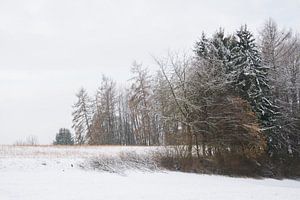WOODLAND