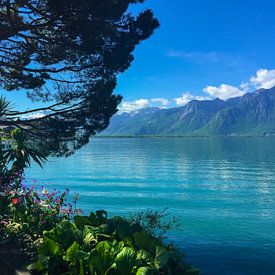Meer van Genève bij Montreux van Stan Jansen